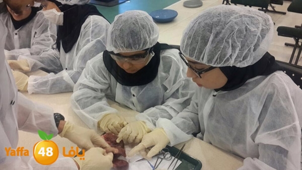 shamela teb khederas (7).jpg